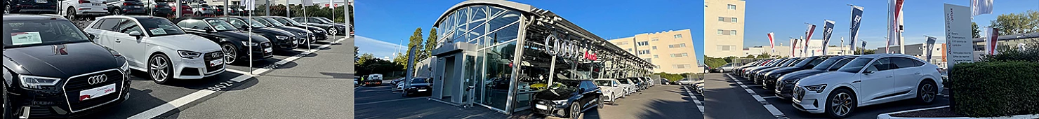 Audi DBF Tournezy - meilleureauto